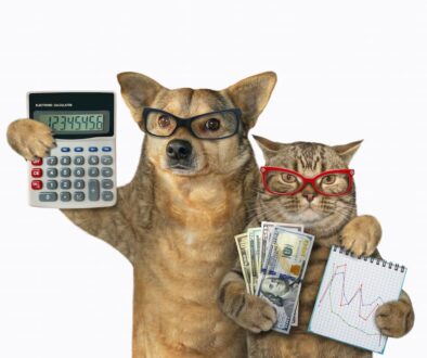 DogCatMoney