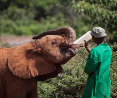 AdobeStock_342372724