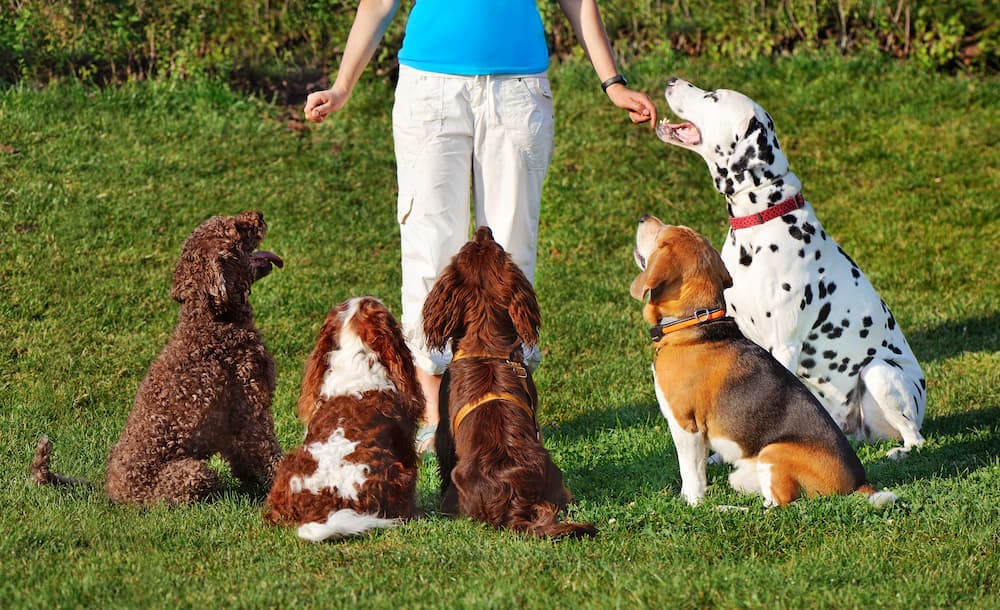 AdobeStock_373899476