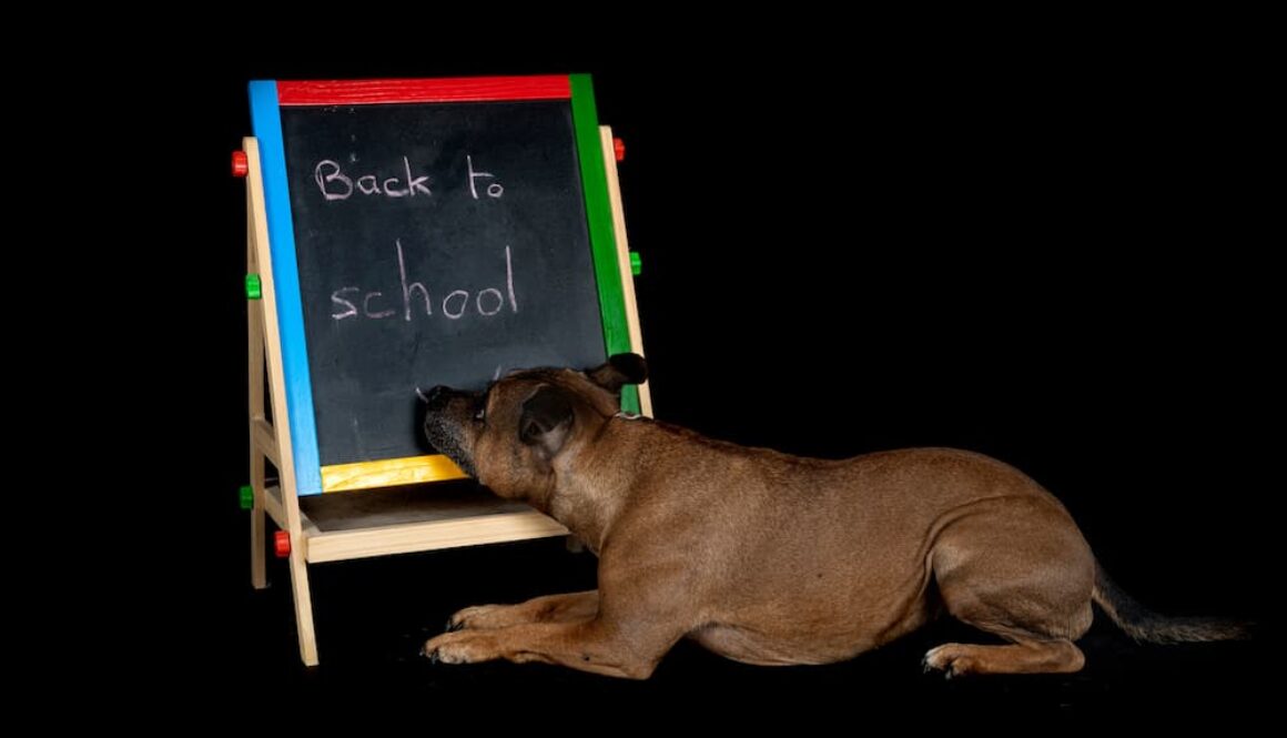 AdobeStock_444675008