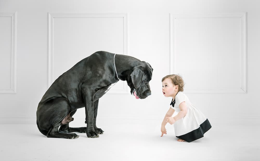 AdobeStock_114624617