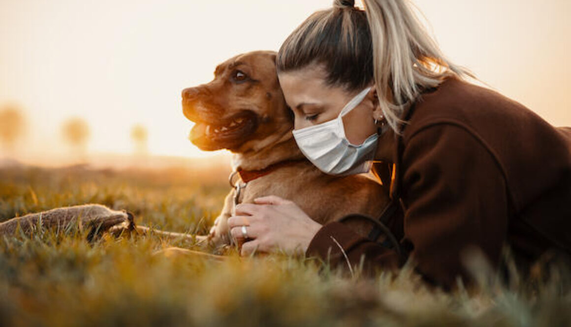 AdobeStock_331534663