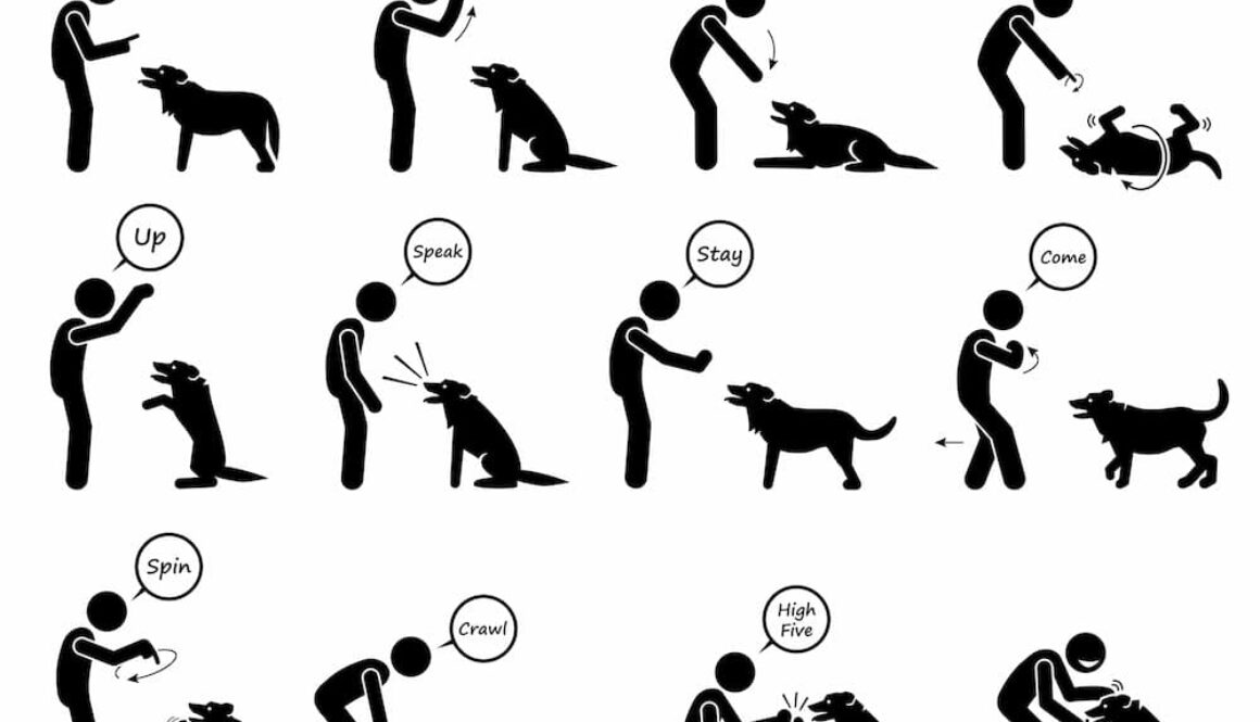 AdobeStock_377602273