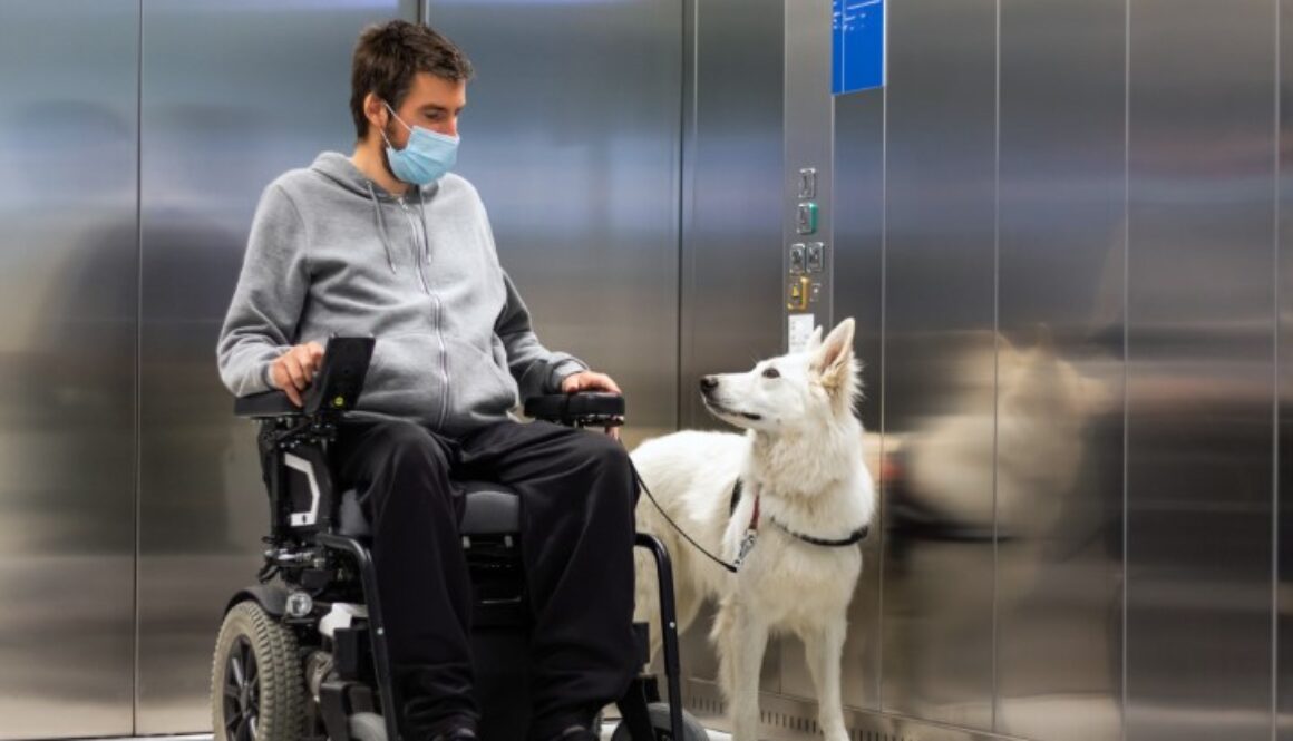 A man in a wheelchair rides an elevator with his trained mobility service dog
