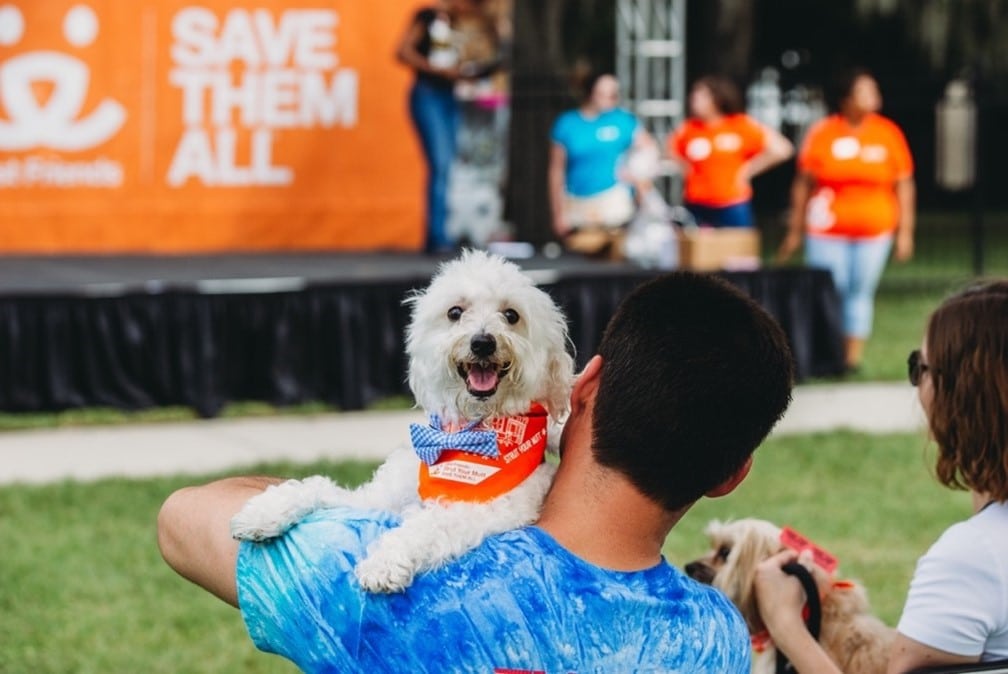 Best Friends Strutt Your Mutt