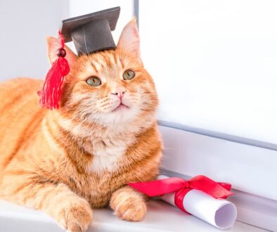 AdobeStock_369675527(1)