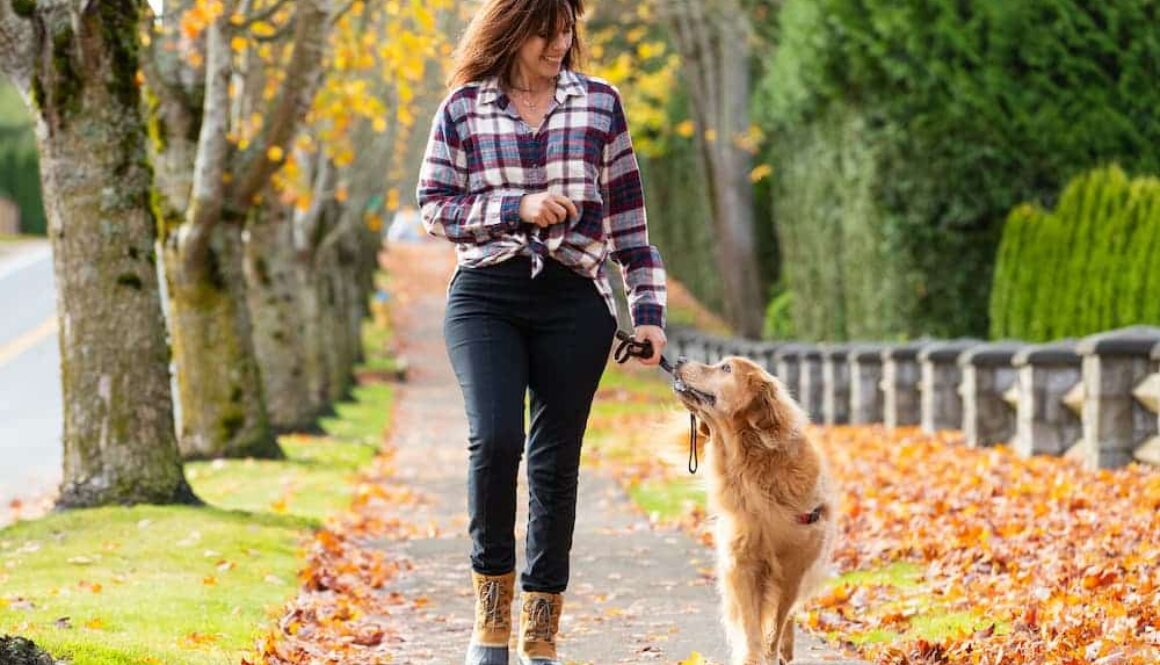 AdobeStock_231605692