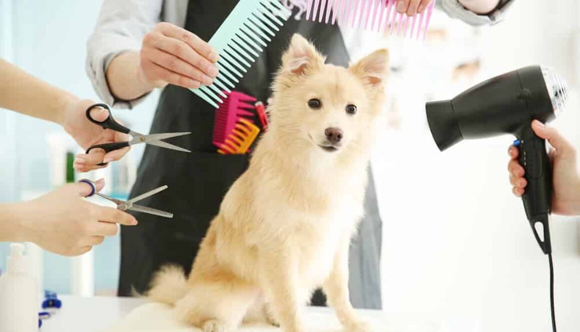 AdobeStock_113482075