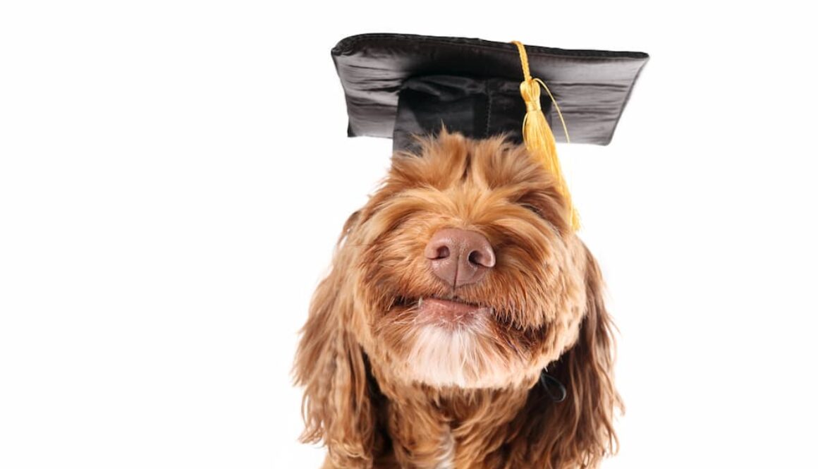 AdobeStock_538271915