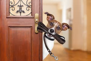 AdobeStock_133411589