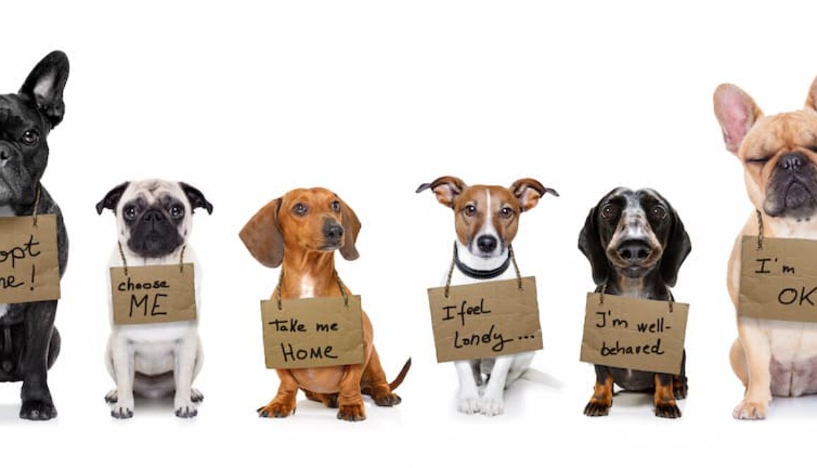 AdobeStock_301391379