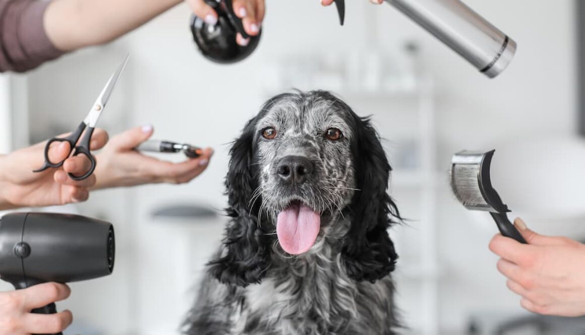 AdobeStock_333954876