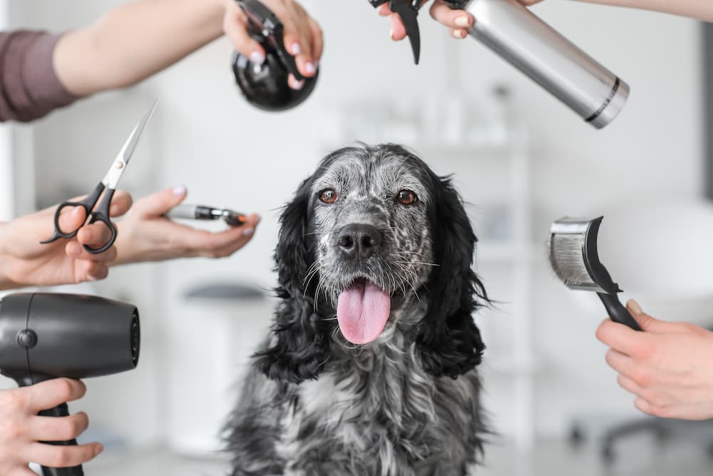 AdobeStock_333954876