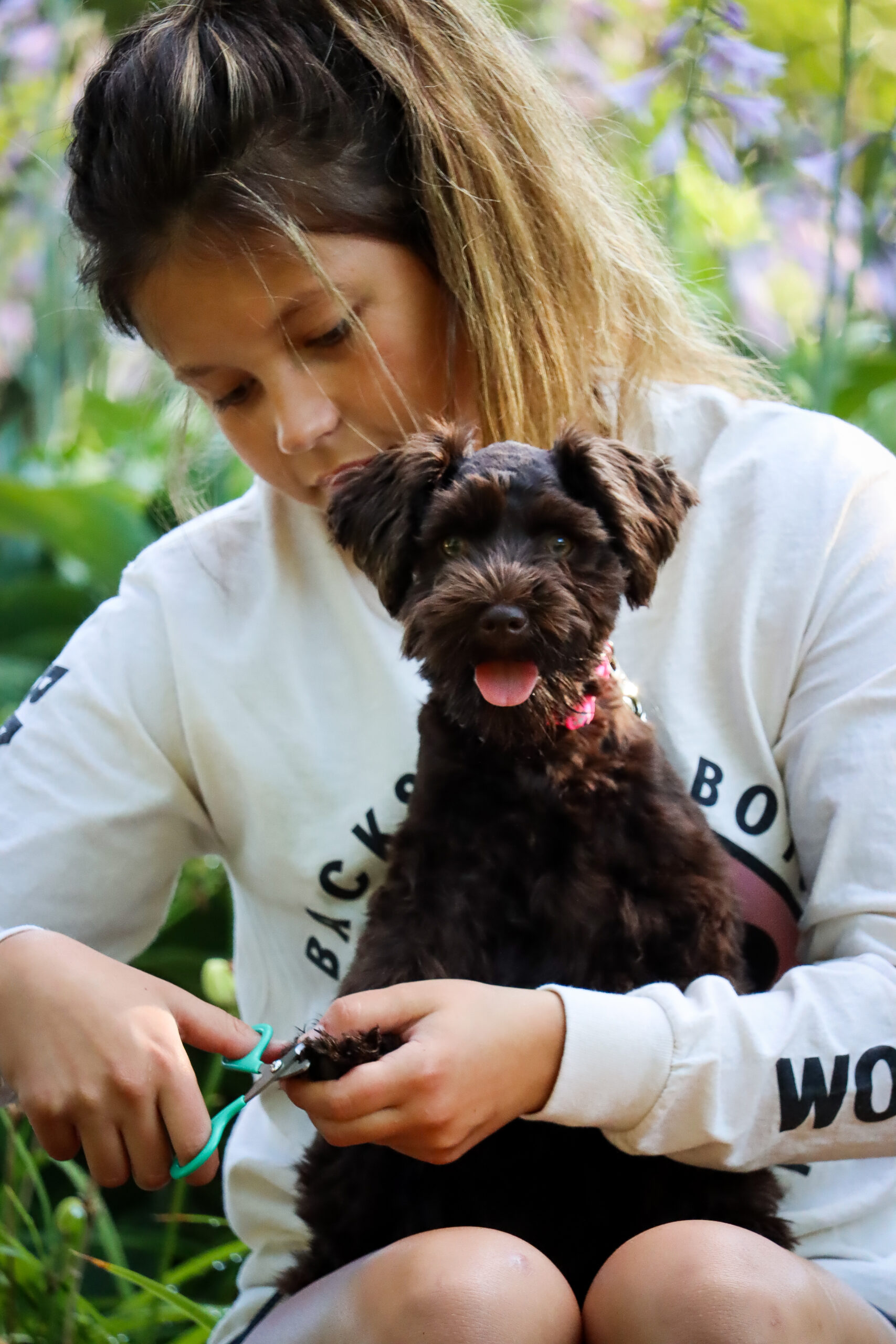 Coastal Pets Image 2