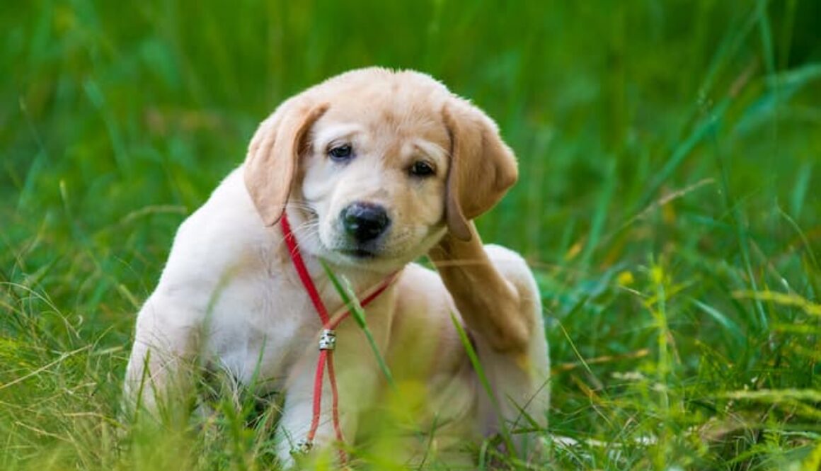 AdobeStock_115815657