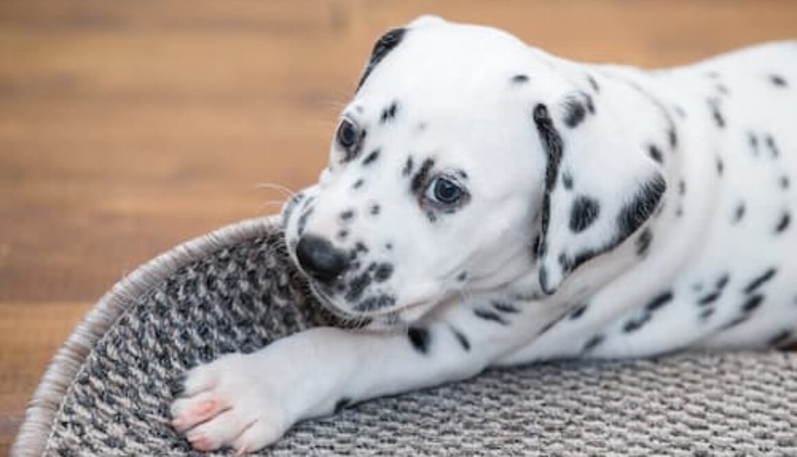 AdobeStock_400745828