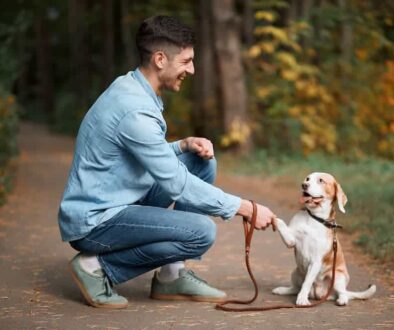 AdobeStock_296081343