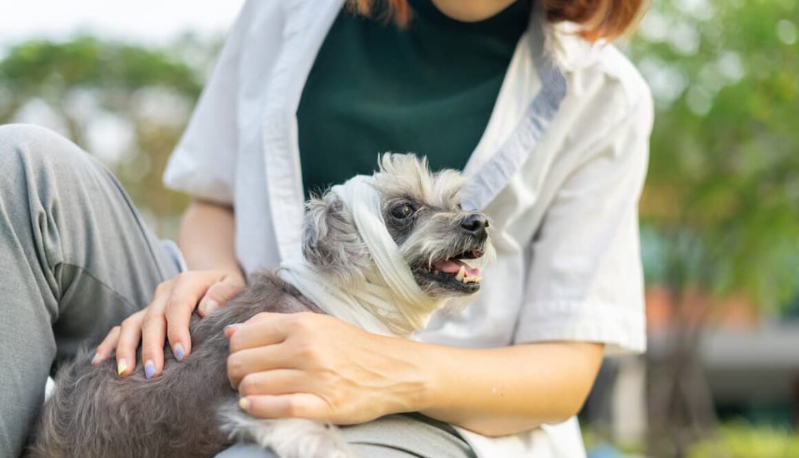 AdobeStock_646468278