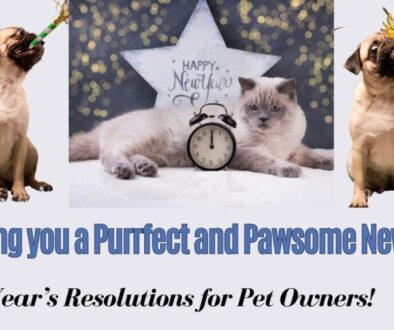 Animal Behavior College's New Year's Resolutions For Pet Owners