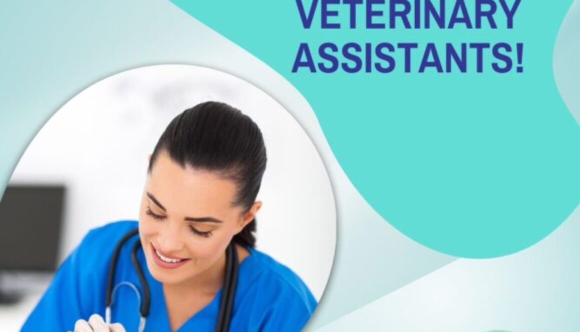 The Benefits and Challenges of Working as a Veterinary Assistant