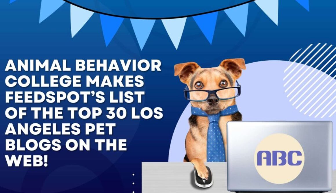 Animal Behavior College Makes Feedspot’s List of the Top 30 Los Angeles Pet Blogs on the Web!
