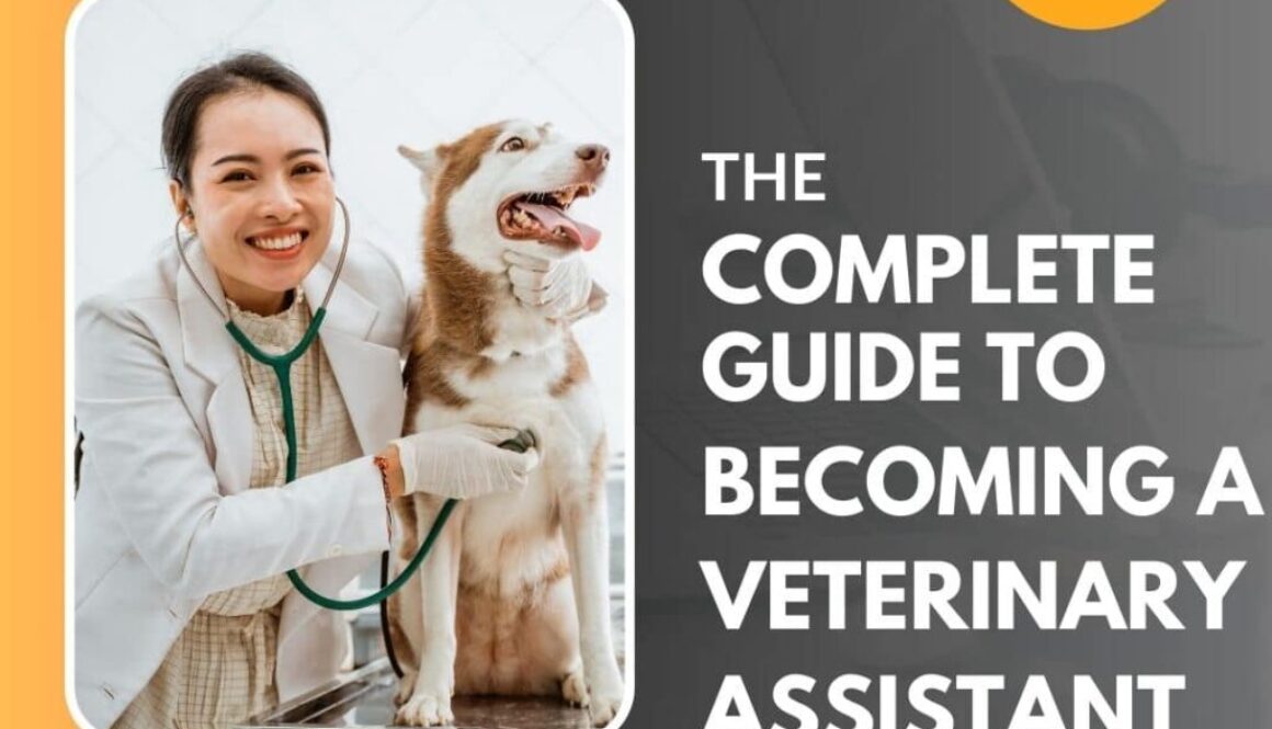 Animal Behavior College's complete guide to becoming a veterinary assistant