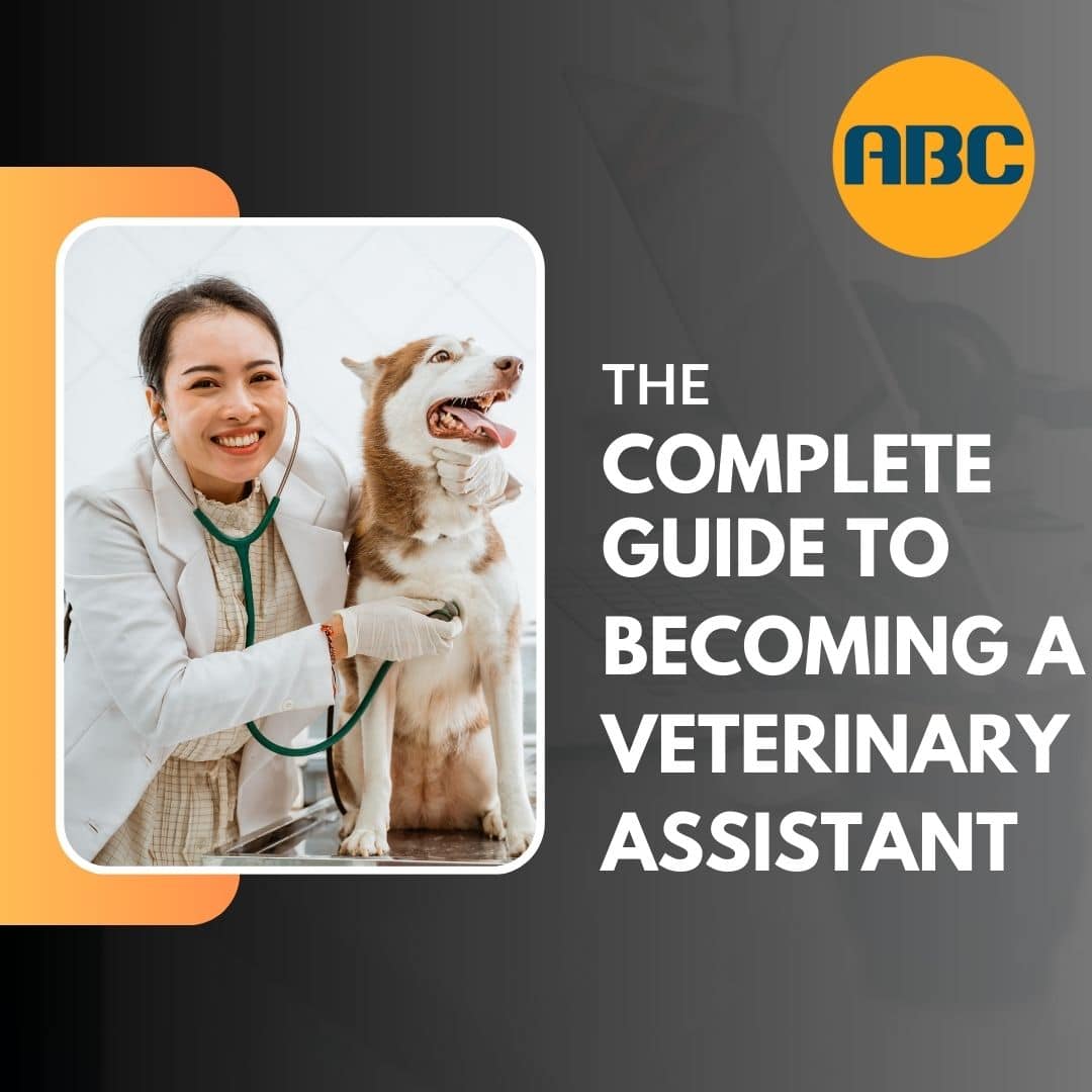 Animal Behavior College's complete guide to becoming a veterinary assistant