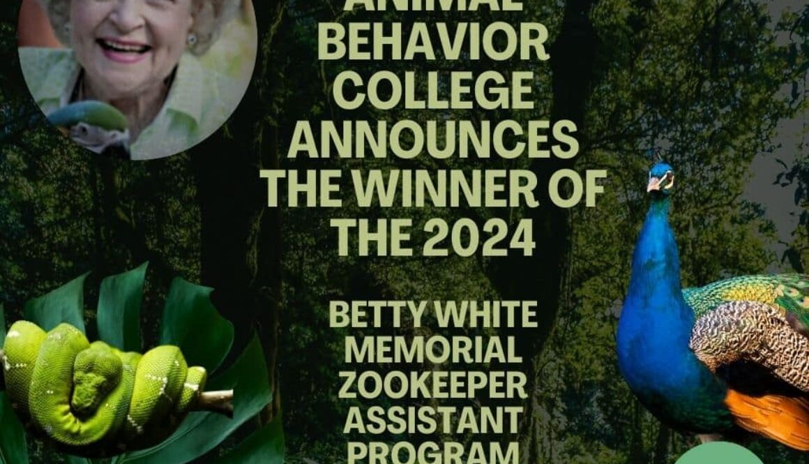 animal Behavior College announces the winner of the 2024 Betty White Memorial Zookeeper Assistant Program Scholarship