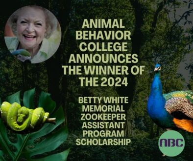 animal Behavior College announces the winner of the 2024 Betty White Memorial Zookeeper Assistant Program Scholarship