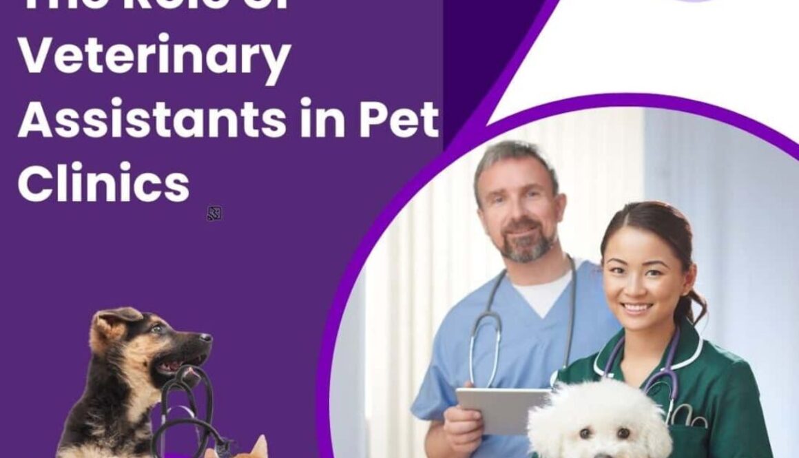 Animal Behavior College's Pawsitively Essential: The Role of Veterinary Assistants in Pet Clinics