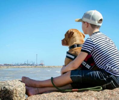 Service Dog and boy