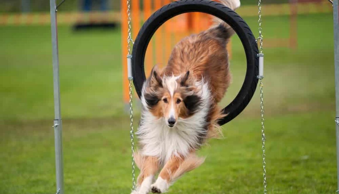 AdobeStock_138838277