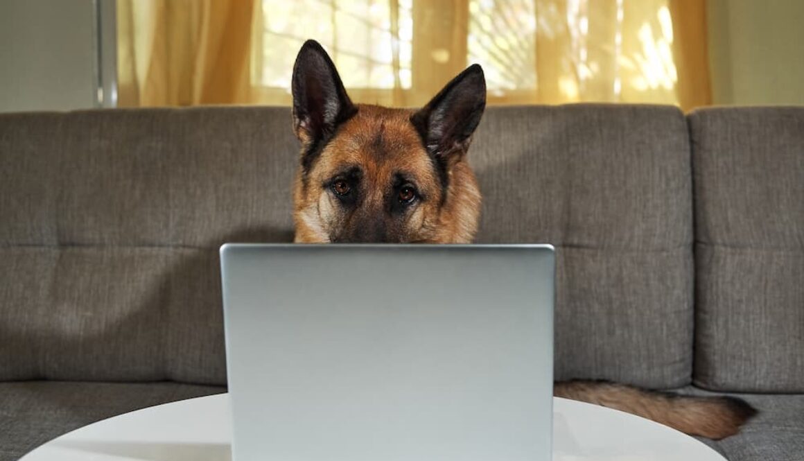 AdobeStock_415827448