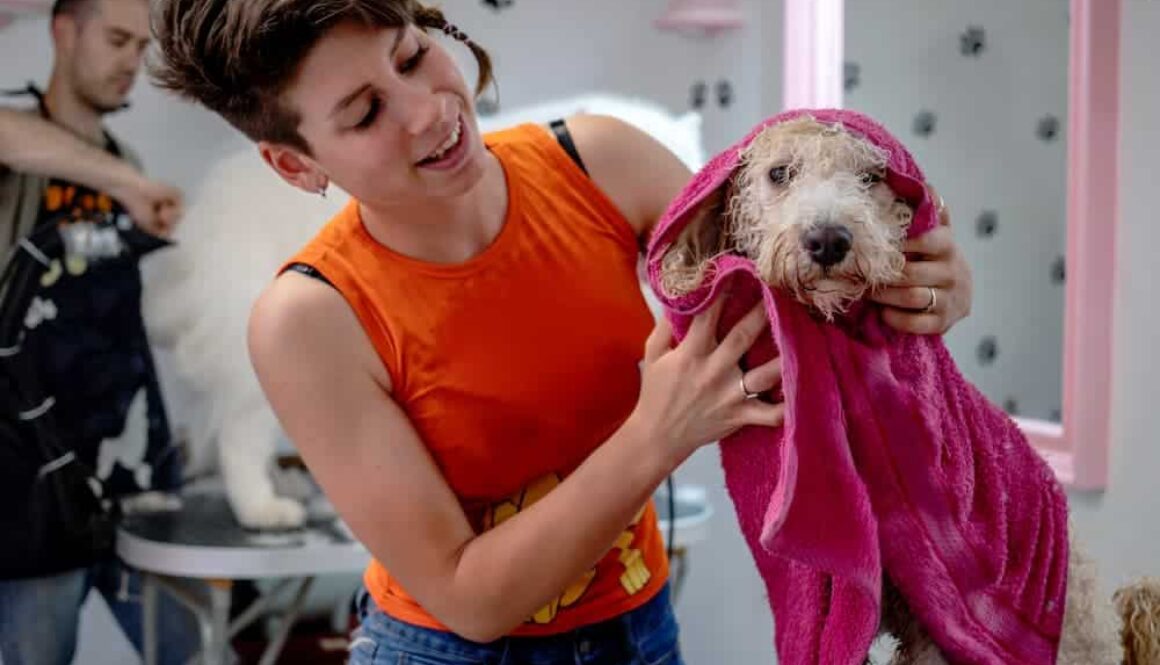 AdobeStock_510258717