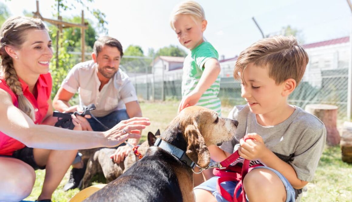 AdobeStock_257380953