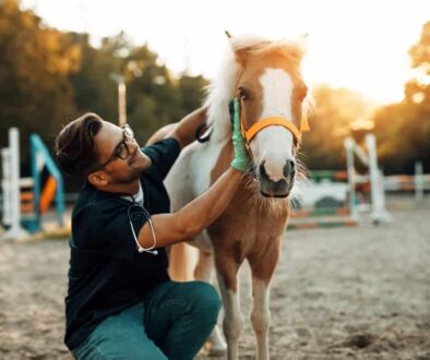 AdobeStock_328864762