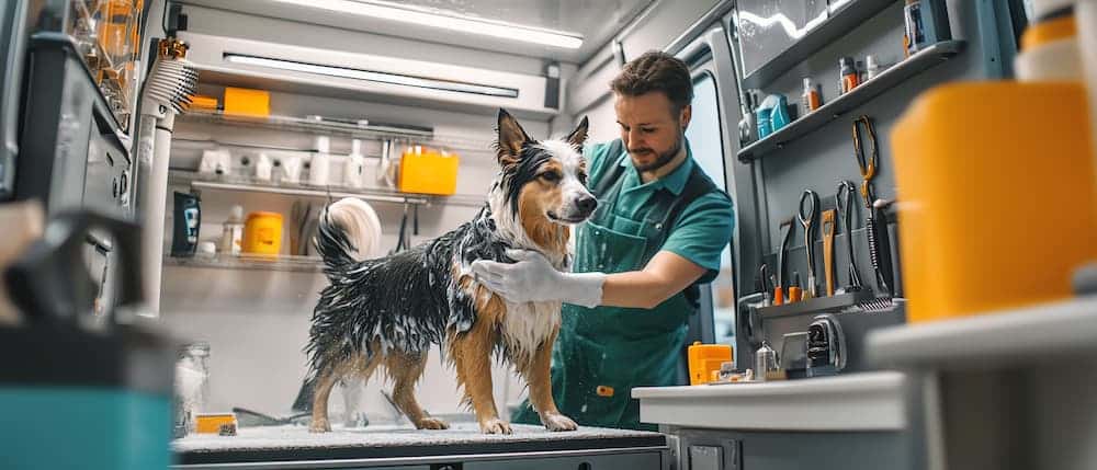 AdobeStock_1074810644