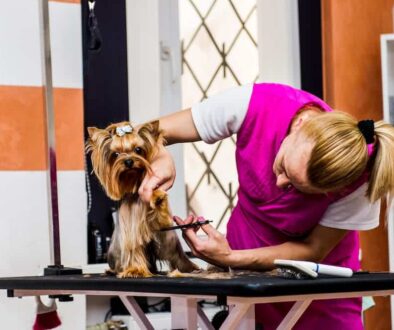 AdobeStock_124991791