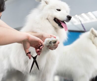 AdobeStock_493227380