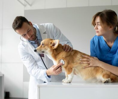 AdobeStock_619188455