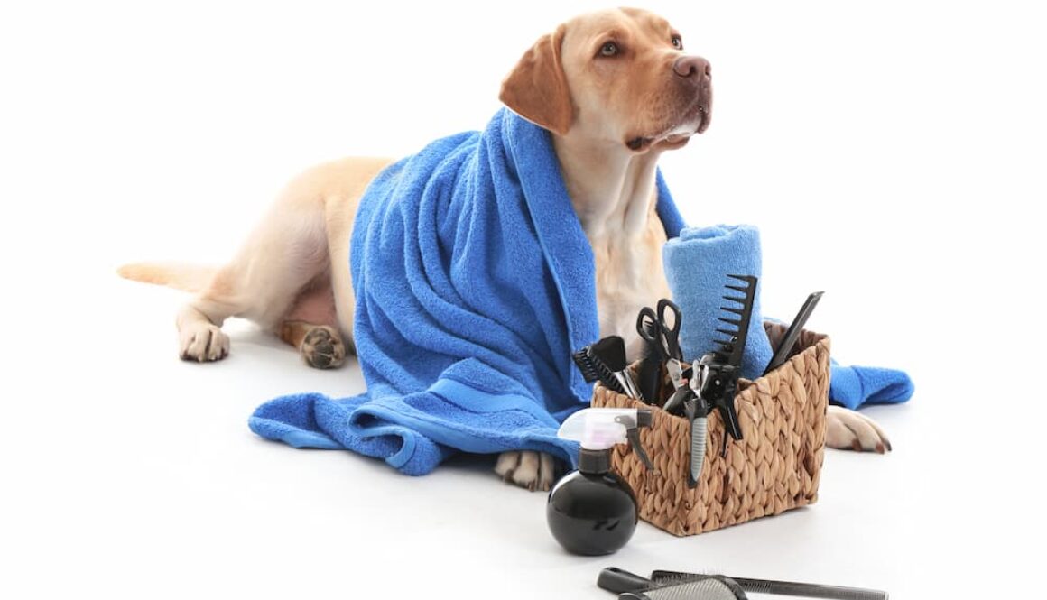 AdobeStock_239332066