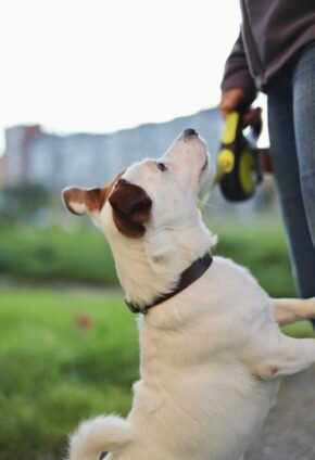 anastassia-anufrieva-9Wf2XmpOW5E-unsplash