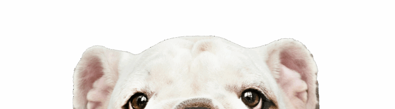 curated-lifestyle-jfCQXPMxUgI-unsplash