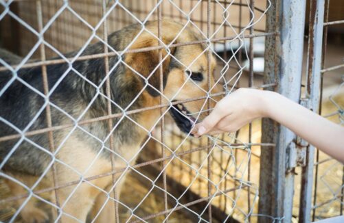 getty-images-tZZX_tIUdFE-unsplash