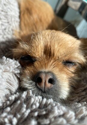 nicole-plunkett-vle6kdRvwk0-unsplash